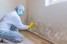 Best Emergency Mold Remediation  in Ganado, TX