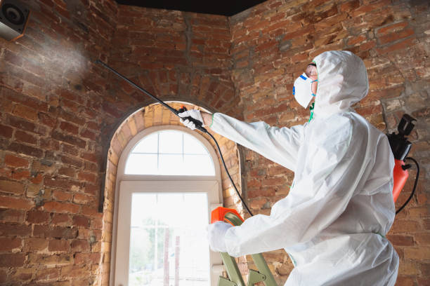 Best Asbestos and Lead Testing During Mold Inspection  in Ganado, TX